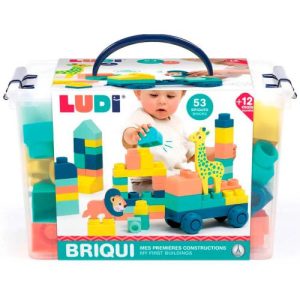 Briqui - Veículo c/ Blocos de Construção